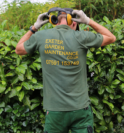 Gardeners Crediton
