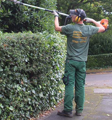 Gardener Sidmouth
