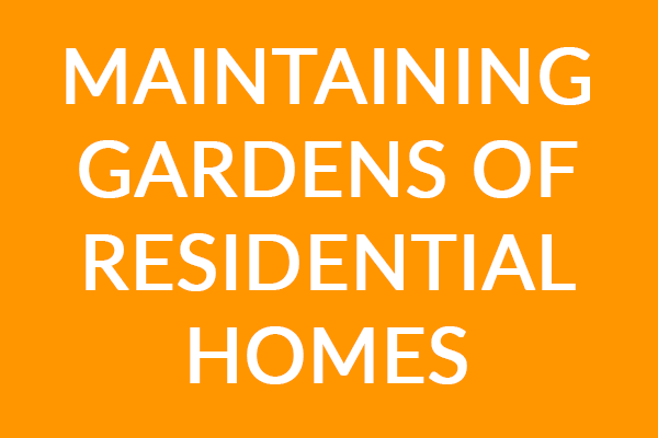 Exeter Gardening