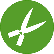 Garden Maintenance Exeter