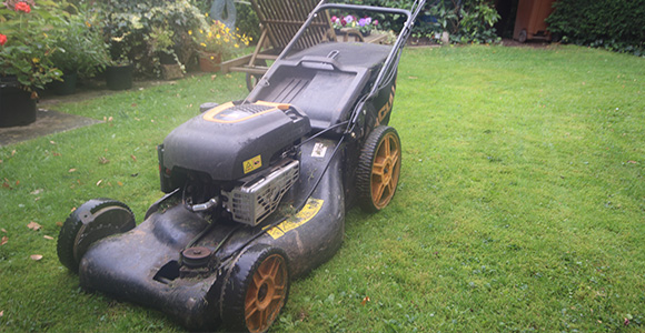 Exeter Gardeners