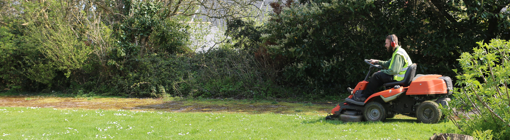 Commercial Gardeners Exeter