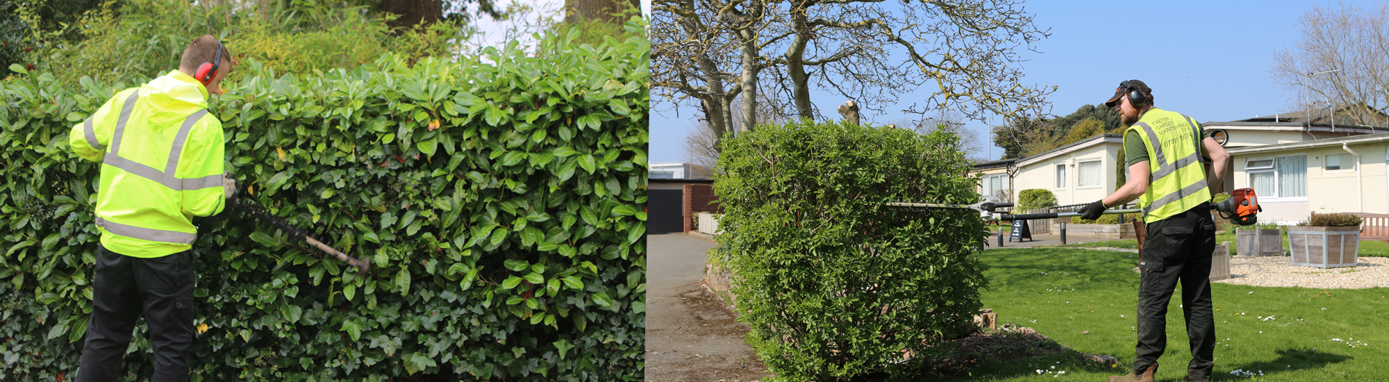 Hedge Trimming Exeter