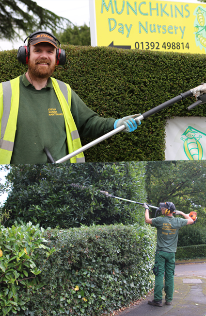 Hedge Trimming Exeter