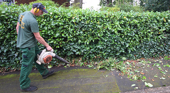 Landscape Gardening Exeter