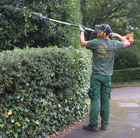 Landscape Gardeners Exeter