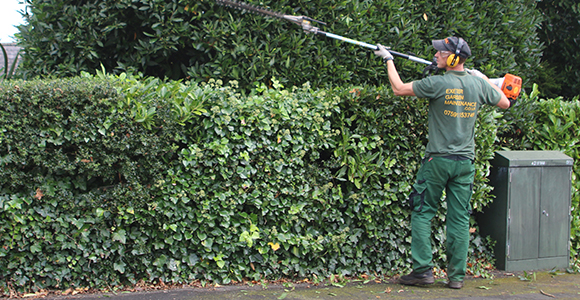 Landscape Gardening Exeter