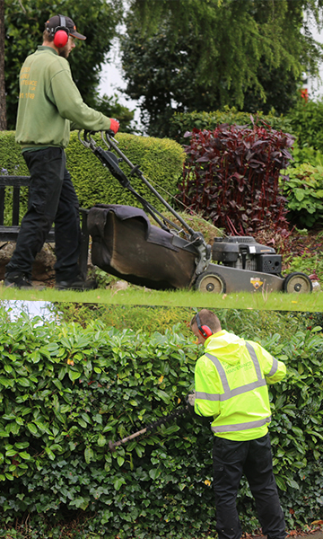 Garden Maintenance Exeter