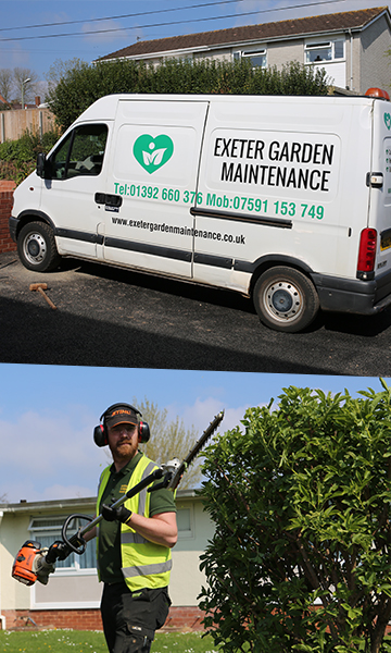 Commercial Garden Maintenance Exeter
