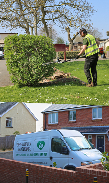 Commercial Garden Maintenance Exeter