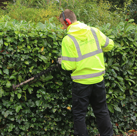 Gardening Services Exeter