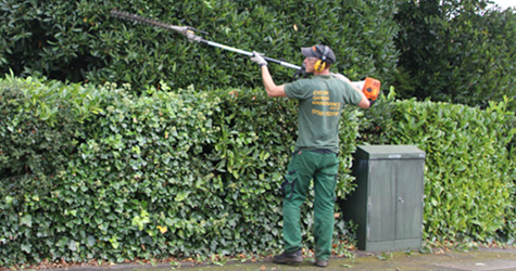 Landscape Gardening Exeter